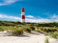 Landtagswahl in Schleswig-Holstein: unsere Forderungen 